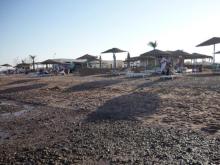 Чудо природы