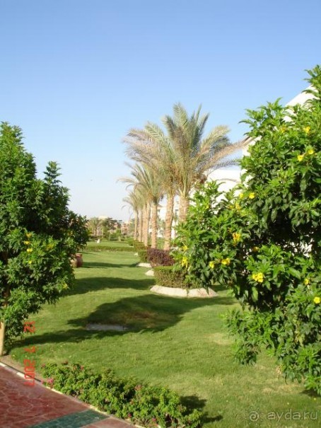 фото Pickalbatros Dana Beach Resort