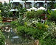 Чудо-остров Самуи