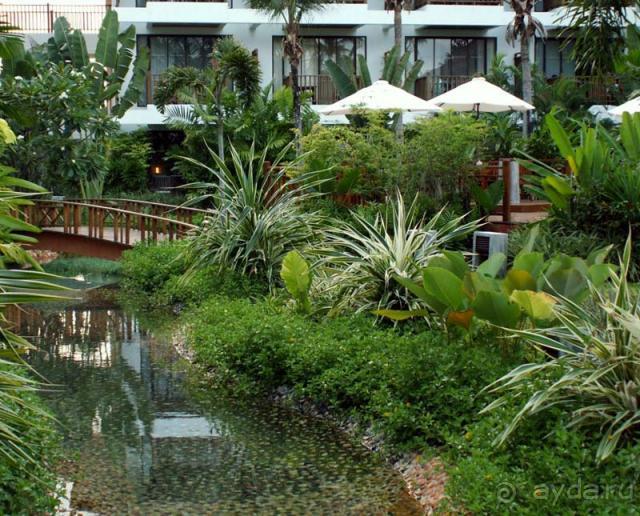 Чудо-остров Самуи