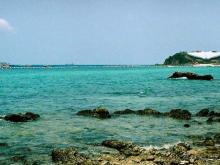 фото Garden Sea View