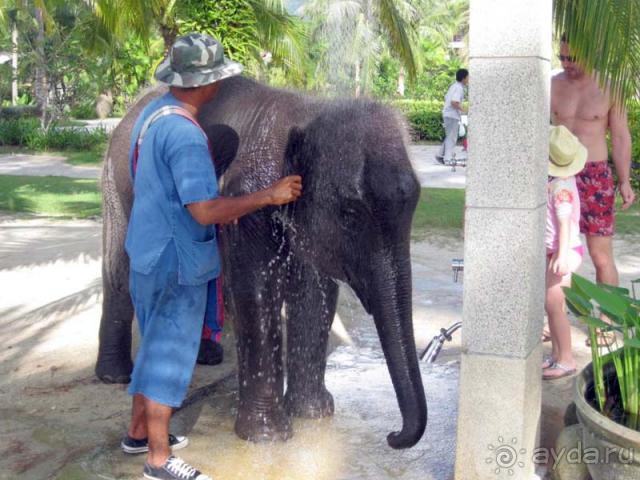 фото Grand Hotel Courmaison