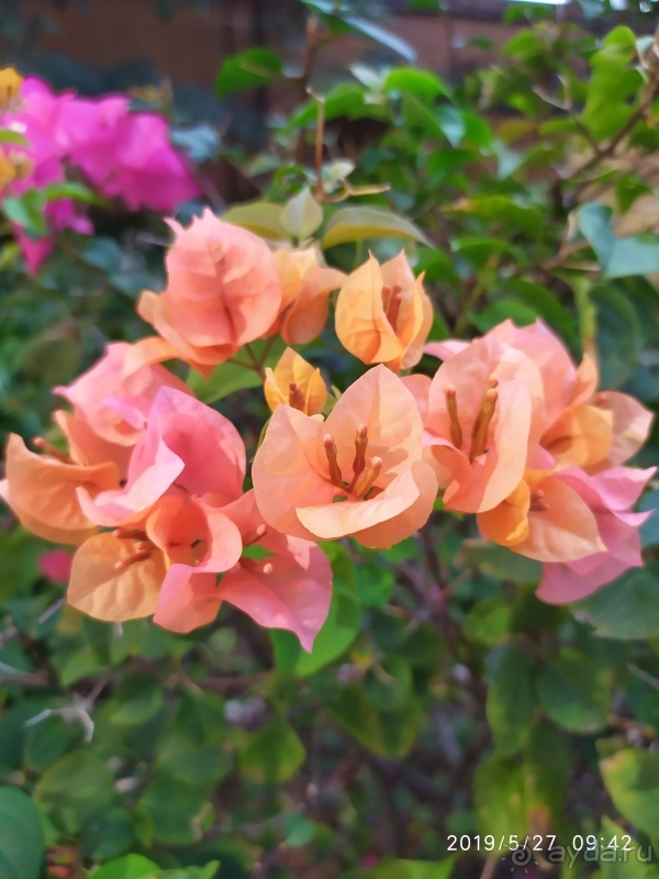 фото Berjaya Times Square Hotel