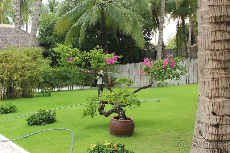 «Рай всё же существует....в отдельно взятом отеле.»