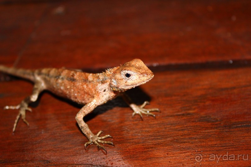 «Рай всё же существует....в отдельно взятом отеле.»