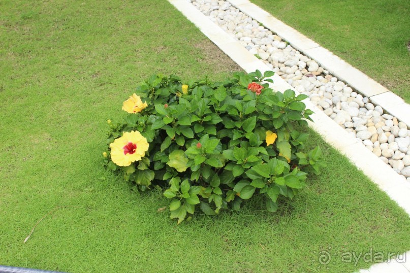 фото Kristal Sands