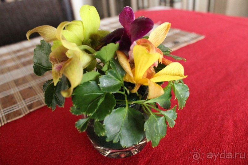 «Рай всё же существует....в отдельно взятом отеле.»