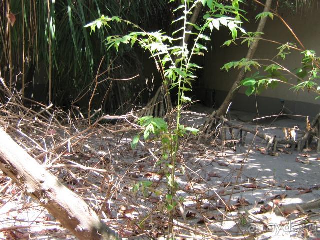 Meedhupparu island resort не могу кому-то рекомендовать положительно!