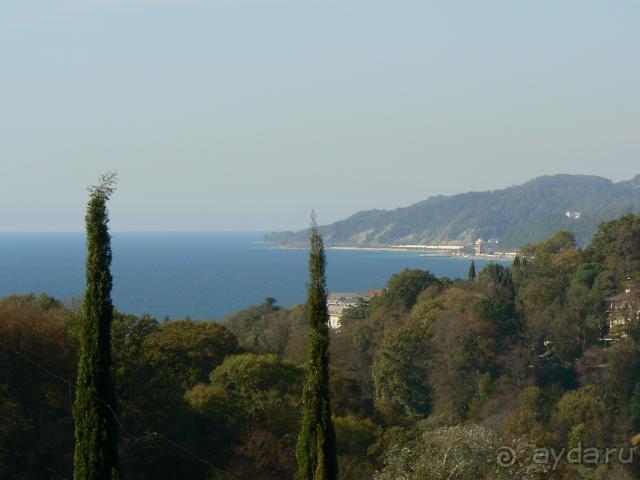 Ноябрьские праздники в Сочи