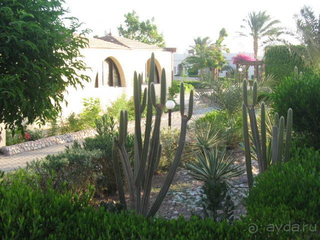 Неделька отдыха с друзьями