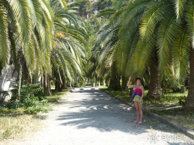 Гагра. Пансионат Кавказ