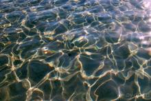 фото Olympic Bay Agia Napa