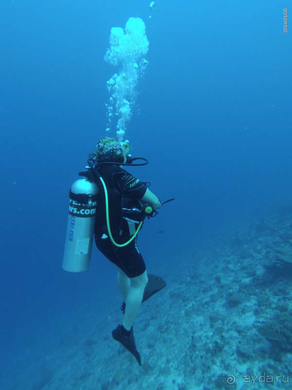 фото Pearl River Garden Hotel