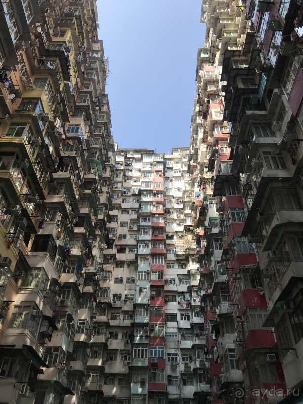 фото Pearl River Garden Hotel