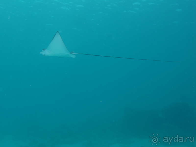 фото Pearl River Garden Hotel