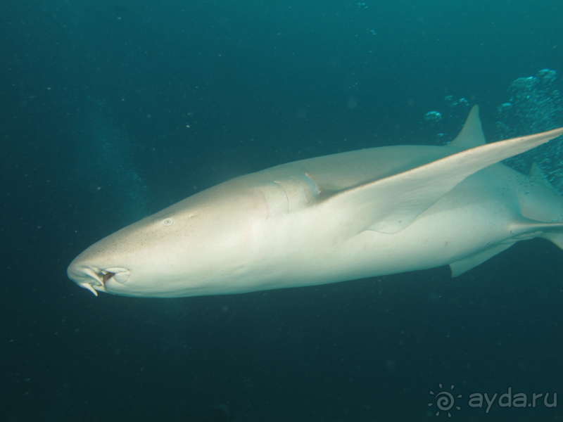 фото Pearl River Garden Hotel