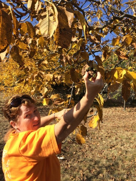 Черногория, Сербия опыт самостоятельной поездки.