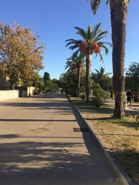 Черногория, Сербия опыт самостоятельной поездки.