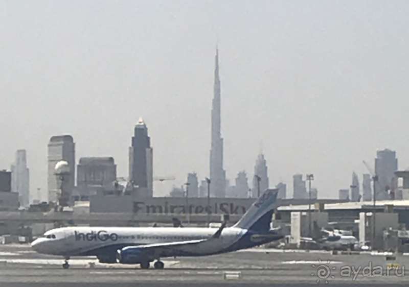 И вот я стою на краю.. (данный отчет написан моей женой).