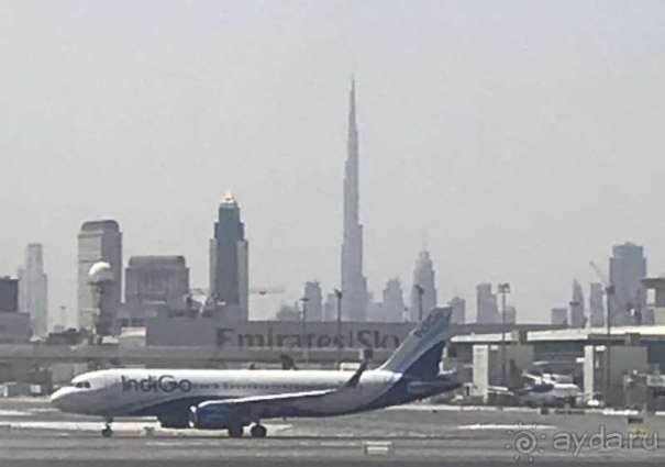 И вот я стою на краю.. (данный отчет написан моей женой).