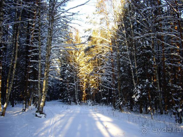 Пансионат  Сахареж