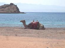 Нам понравилось!!