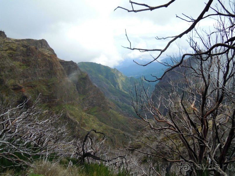 Новый год на Мадейре