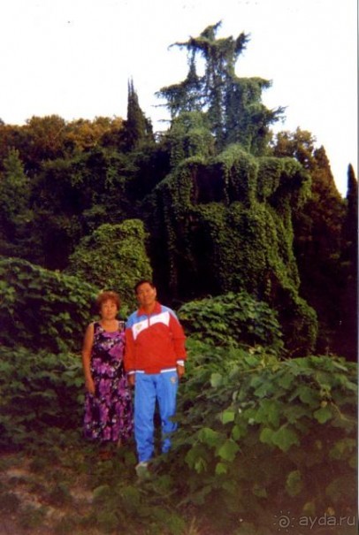 Отзыв о санатории «Хоста» МВД России