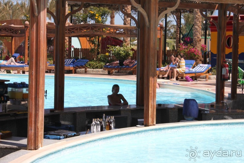 Обычная Египетская 5-ка