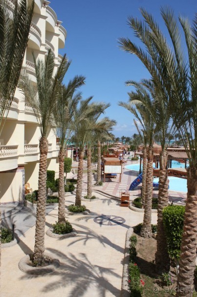 Обычная Египетская 5-ка