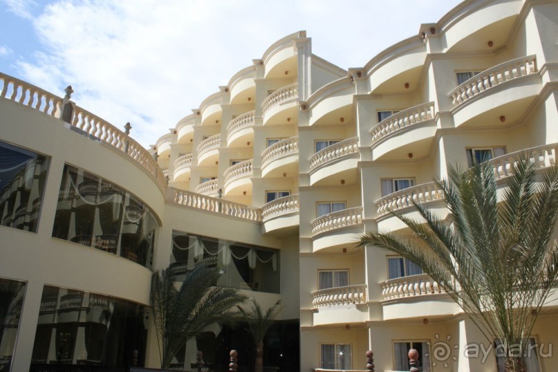 Обычная Египетская 5-ка