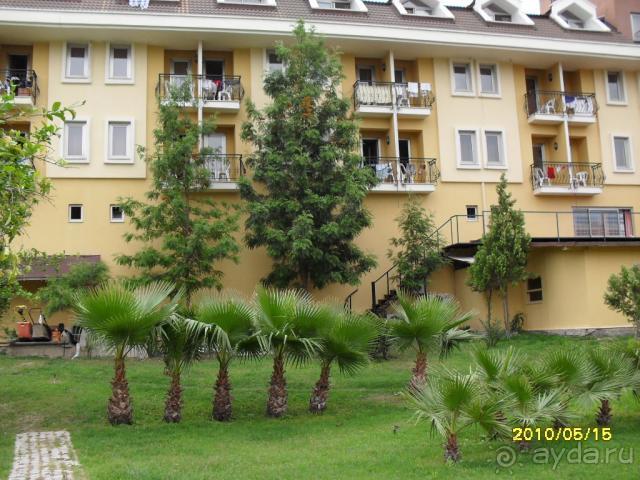 территория