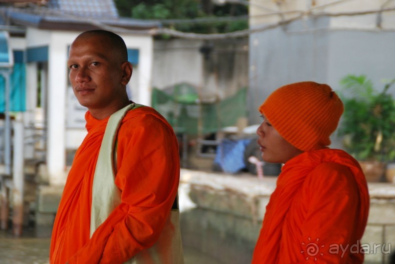 Из Паттайи в Бангкок самостоятельно+Что посмотреть
