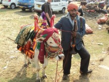 Особенности отдыха в Гоа