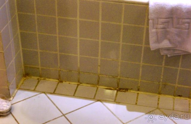 фото Royal Savoy Sharm El Sheikh