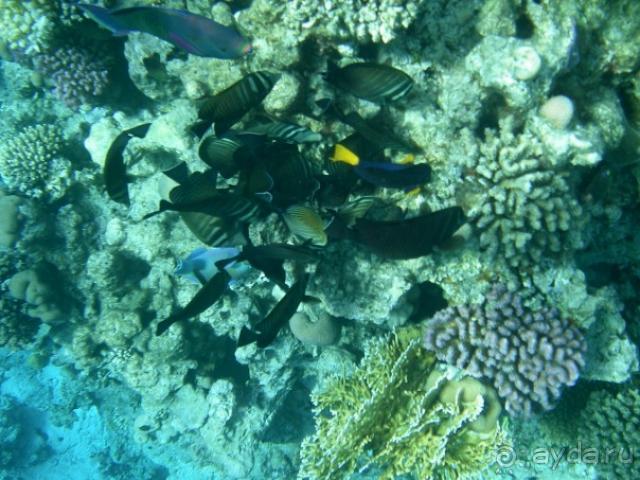 фото The Central Palace