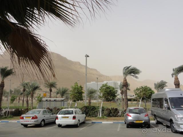 Израиль Мертвое море