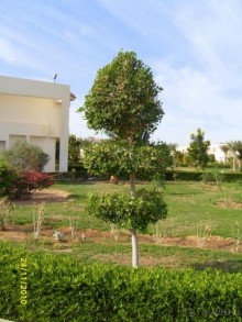 фото Clarion Collection Odin