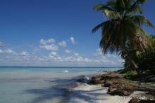 фото Bavaro Princess