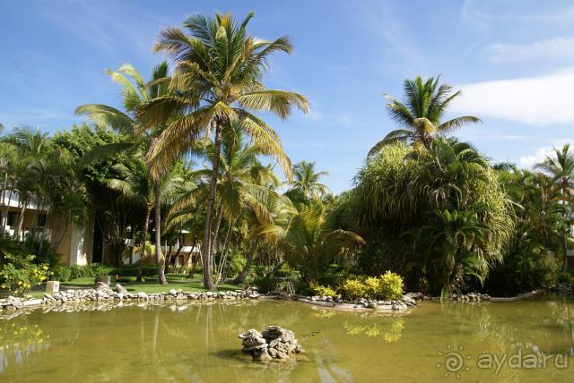 моя Доминикана