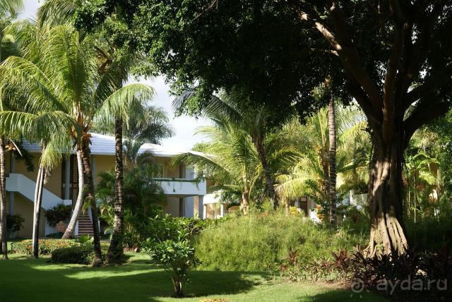 моя Доминикана