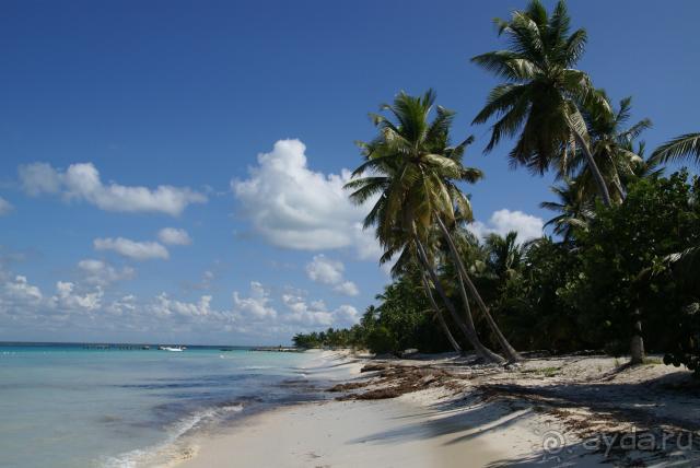 моя Доминикана