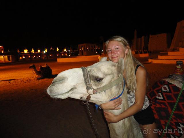 фото Alf Leila Wa Leila 