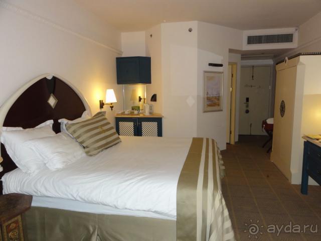 Вместо Египта от акул - в Израиль!