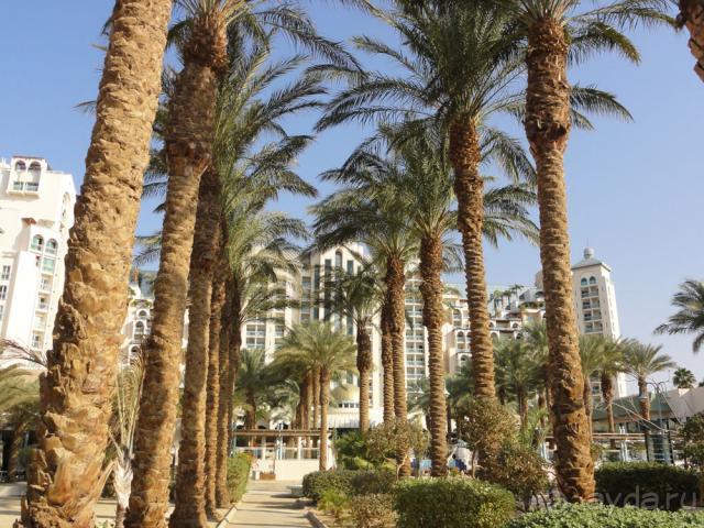 фото Scandic Continental