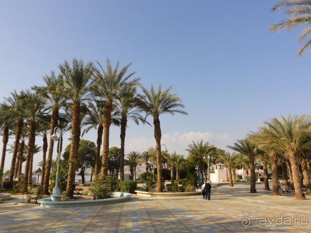 фото Scandic Continental