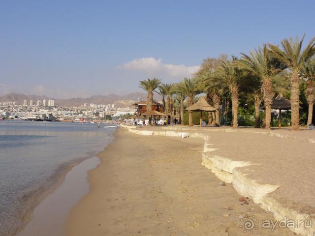 фото Scandic Continental