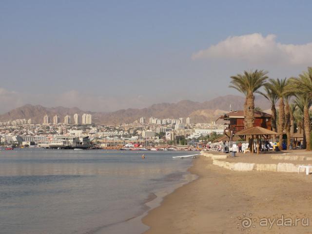 фото Scandic Continental