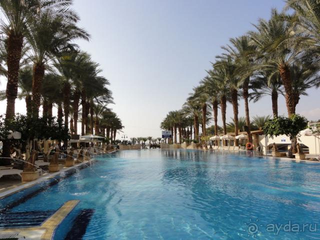 фото Scandic Continental