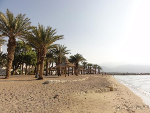 фото Scandic Continental